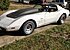 1977 Chevrolet Corvette for sale 101060022